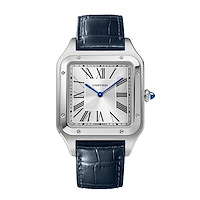 Cartier WSSA0032