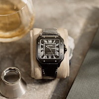Cartier WSSA0039