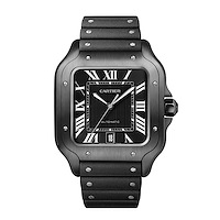 Cartier WSSA0039