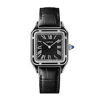 Cartier WSSA0046