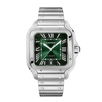 Cartier WSSA0062