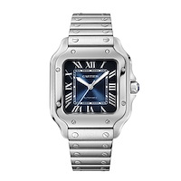 Cartier WSSA0063