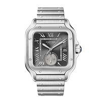 Cartier WSSA0076