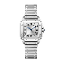 Cartier WSSA0082