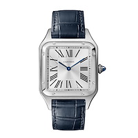 Cartier WSSA0085
