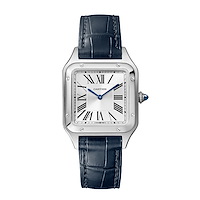 Cartier WSSA0086