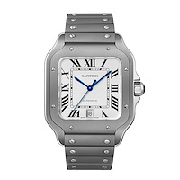 Cartier WSSA0089