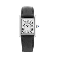 Cartier WSTA0041