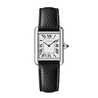 Cartier WSTA0135