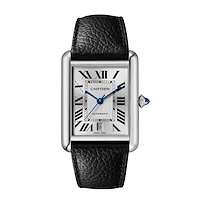 Cartier WSTA0141