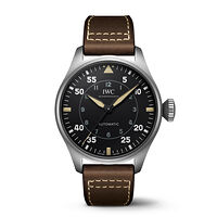 IWC IW329701