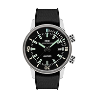 IWC IW323101