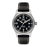 IWC IW328203