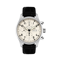 IWC IW377725