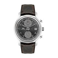 IWC IW390404