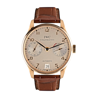 IWC IW500101