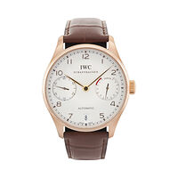 IWC IW500113