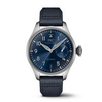 IWC IW501019