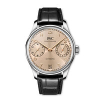 IWC IW501705