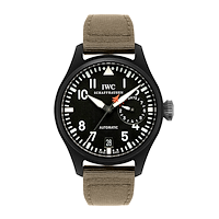 IWC IW501901