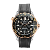 Omega 210.22.42.20.01.002