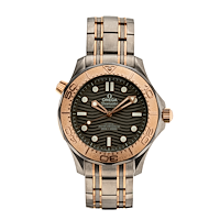 Omega 210.60.42.20.99.001