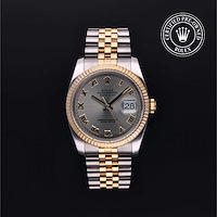 Rolex M116233