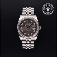 Rolex M116234