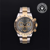Rolex M116503