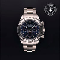 Rolex M116509