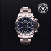 Rolex M116509