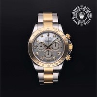 Rolex M116523