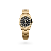 Rolex M124208-0001