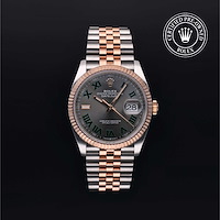 Rolex M126231