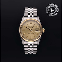 Rolex M16013