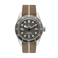 Tudor M79010SG