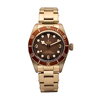 Tudor M79012M