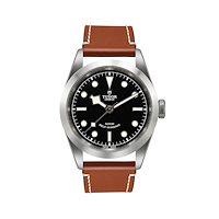Tudor M79540
